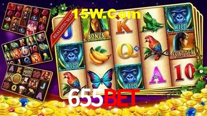 655bet Salvador - Promo Stats